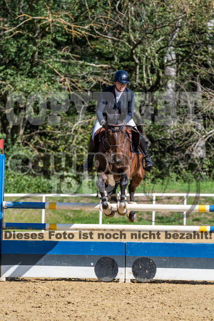 RFV Dinslaken-Hiesfeld (Herbstturnier)
