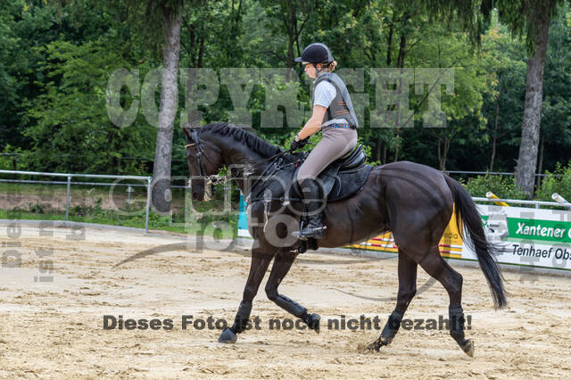 Hunter Geländetraining 10.07.2021 (Sonsbeck)