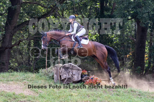 Late-Entry Vielseitigkeit Hamminkeln/Wesel (01.+02.08.2020)
