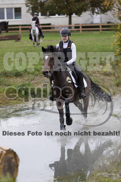 IGV Lehrgang der Sieger der Cups mit Frank Ostholt