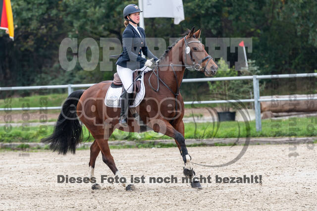 Goldene Schärpe 2020 - Pferde