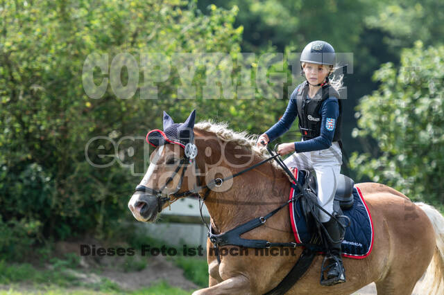 Goldene Schärpe 2021 - Ponys