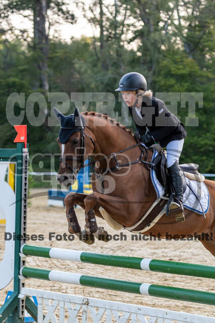 RFV Dinslaken-Hiesfeld (Herbstturnier)
