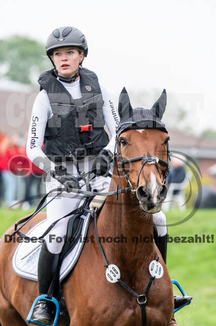 Goldene Schärpe 2020 - Pferde