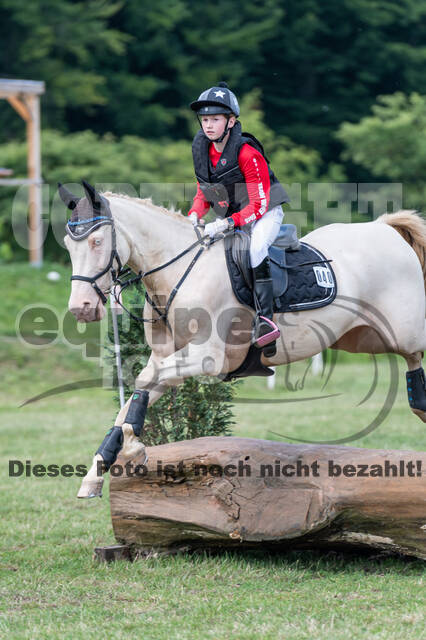 Goldene Schärpe 2021 - Ponys