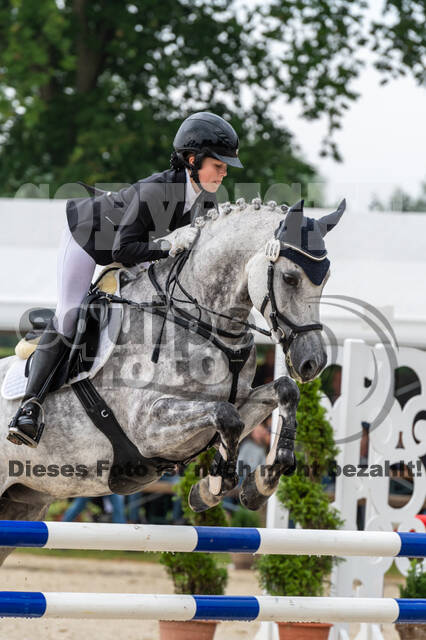 Goldene Schärpe 2021 - Ponys