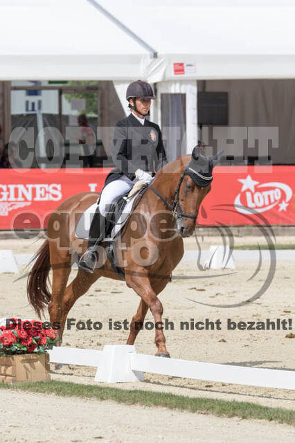 FEI European Championship Eventing 2017