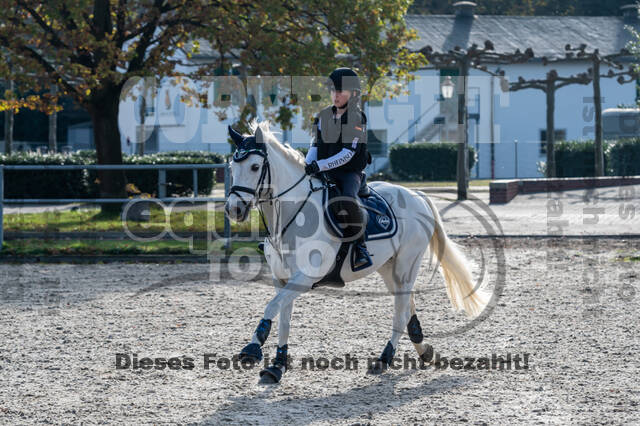 IGV Lehrgang der Sieger der Cups mit Frank Ostholt