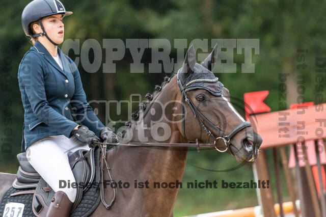 Vielseitigkeit RSV Wesel Obrighoven (26.+27.09.2020)