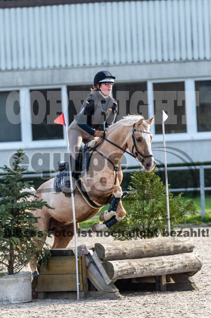 IGV Lehrgang der Sieger der Cups mit Frank Ostholt
