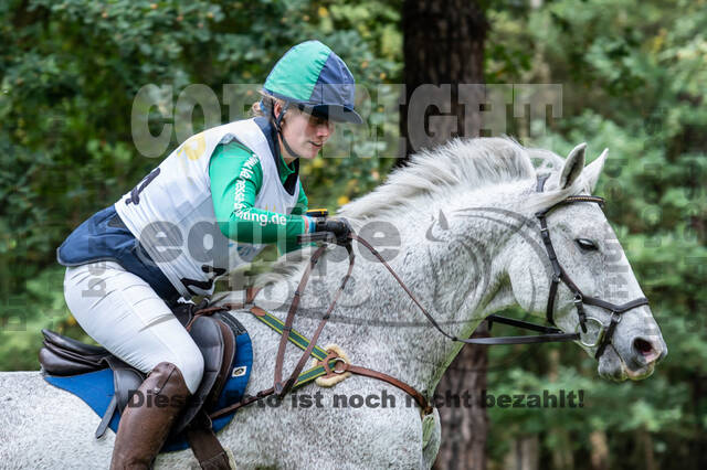 Vielseitigkeit RSV Wesel Obrighoven (26.+27.09.2020)