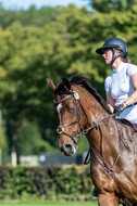Kronenberg - De Peelbergen (August 2020)