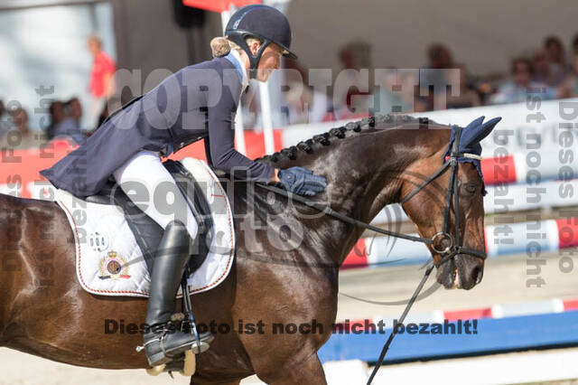 FEI European Championship Eventing 2017