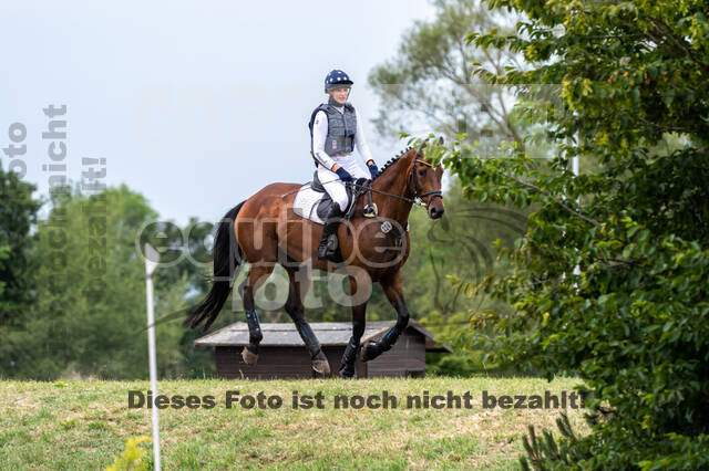 Late-Entry-Vielseitigkeit Langenfeld (11.+13./14.06.2020)