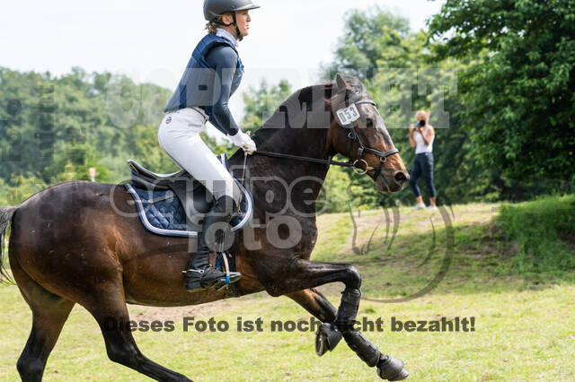 Goldene Schärpe 2021 - Ponys