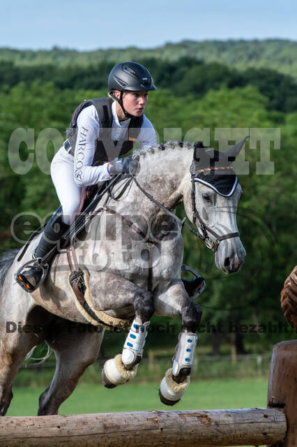 Bonn-Rodderberg Late-Entry-Vielseitigkeit (30.06.2020)