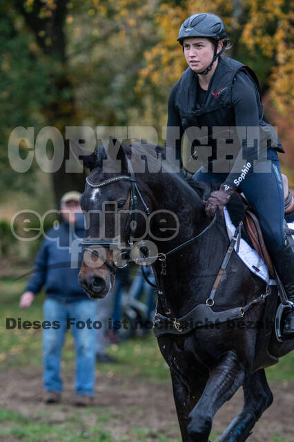 Training Bettina Hoy (01.11.2020)