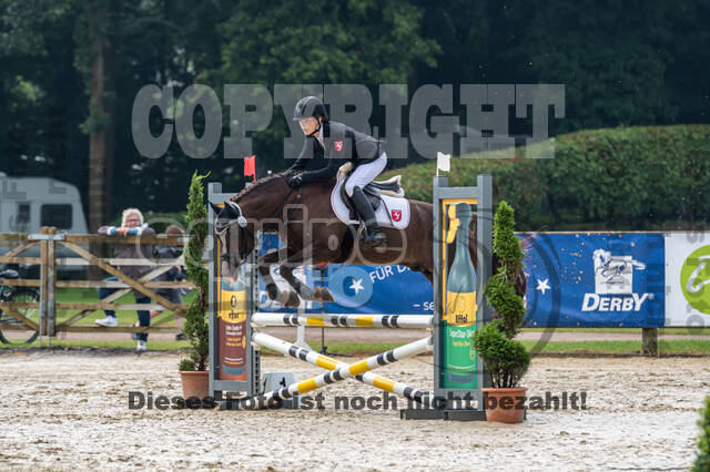 Goldene Schärpe 2021 - Ponys