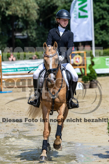 Goldene Schärpe 2021 - Ponys
