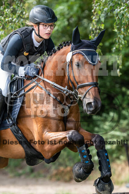 Late-Entry-Vielseitigkeit Langenfeld (06.+07.07.2020)