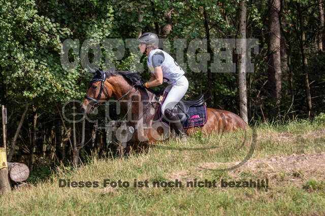 Late-Entry Vielseitigkeit Hamminkeln/Wesel (01.+02.08.2020)