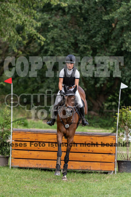 Late-Entry-Vielseitigkeit Langenfeld (06.+07.07.2020)