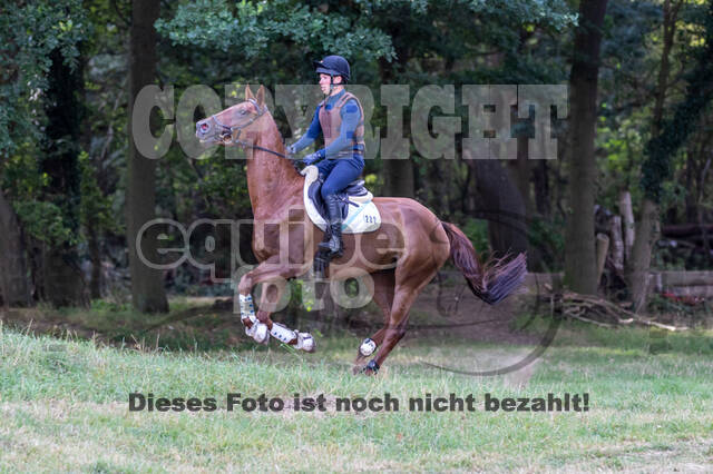 Late-Entry Vielseitigkeit Hamminkeln/Wesel (01.+02.08.2020)