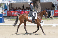 FEI European Championship Eventing 2017