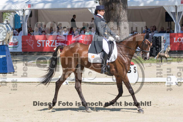 FEI European Championship Eventing 2017