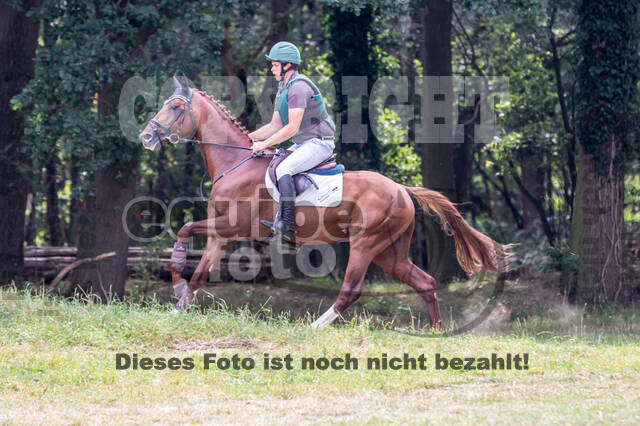 Late-Entry Vielseitigkeit Hamminkeln/Wesel (01.+02.08.2020)