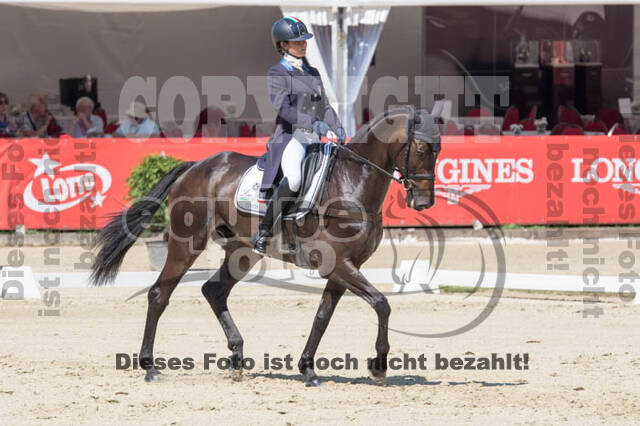 FEI European Championship