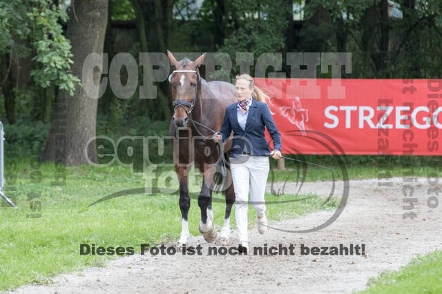 FEI European Championship Eventing 2017