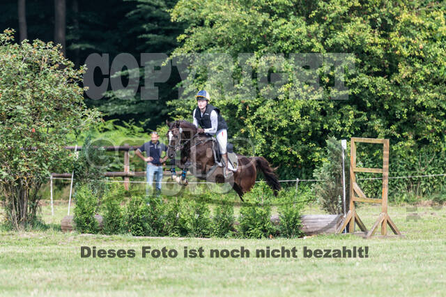 Goldene Schärpe 2021 - Ponys