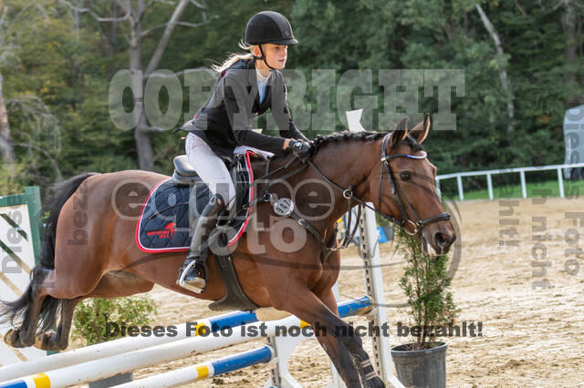 RFV Dinslaken-Hiesfeld (Herbstturnier)