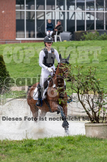 Goldene Schärpe 2020 - Pferde