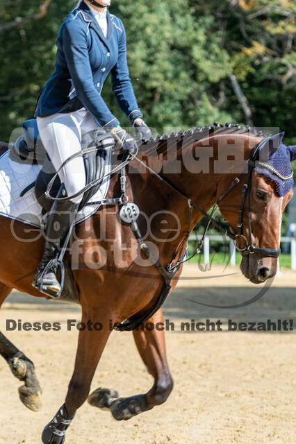 RFV Dinslaken-Hiesfeld (Herbstturnier)
