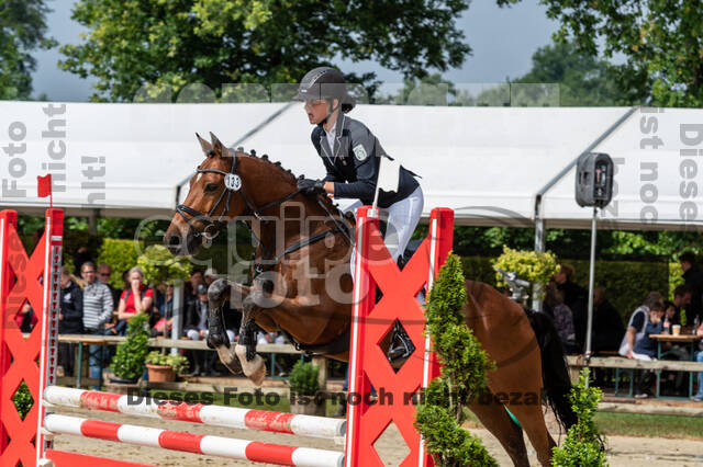 Goldene Schärpe 2021 - Ponys