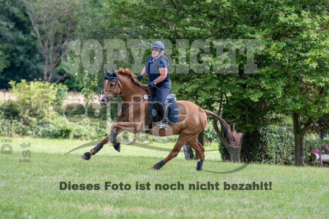 Bonn-Rodderberg Late-Entry-Vielseitigkeit (30.06.2020)