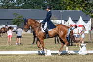 Kronenberg - De Peelbergen (August 2020)