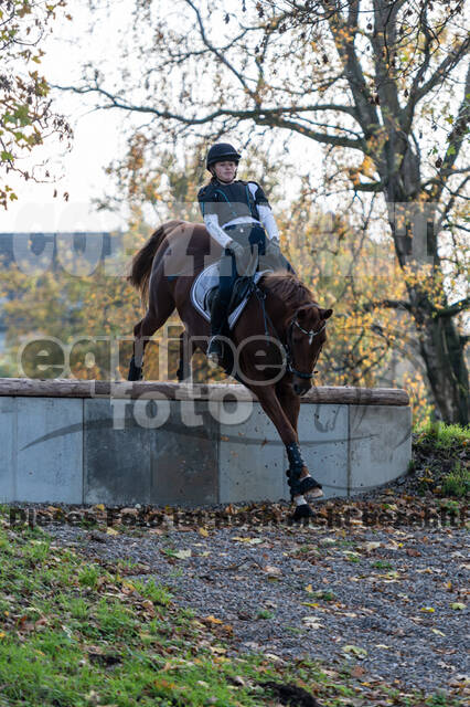 IGV Lehrgang der Sieger der Cups mit Frank Ostholt