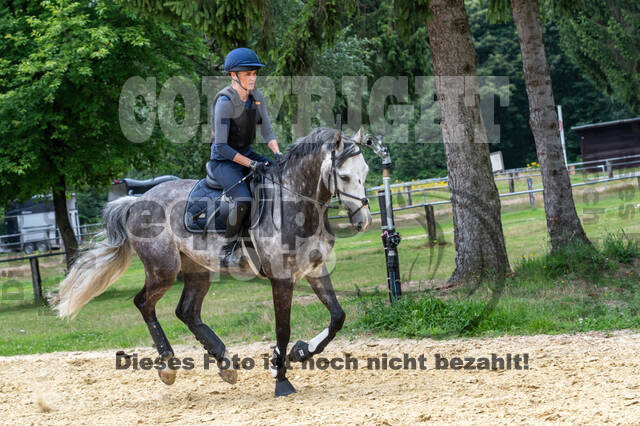 Hunter Geländetraining 10.07.2021 (Sonsbeck)