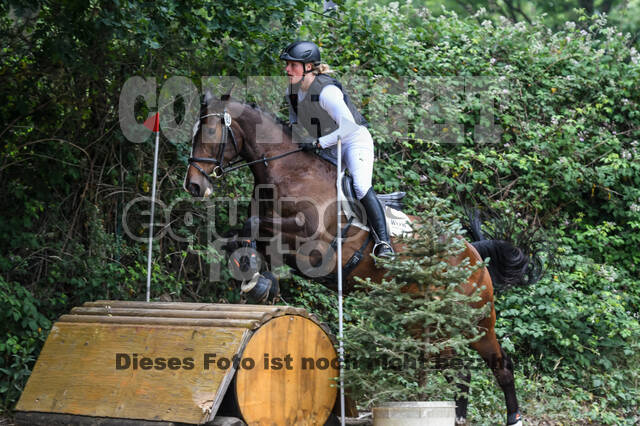 Late-Entry-Vielseitigkeit Langenfeld (11.+13./14.06.2020)