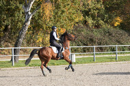 IGV Lehrgang der Sieger der Cups mit Frank Ostholt