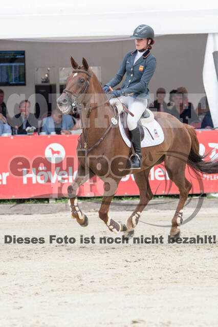 FEI European Championship Eventing 2017