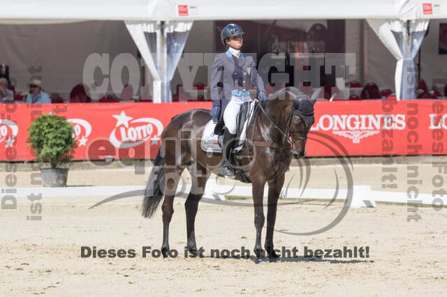 FEI European Championship
