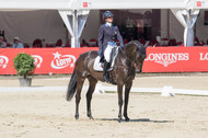 FEI European Championship