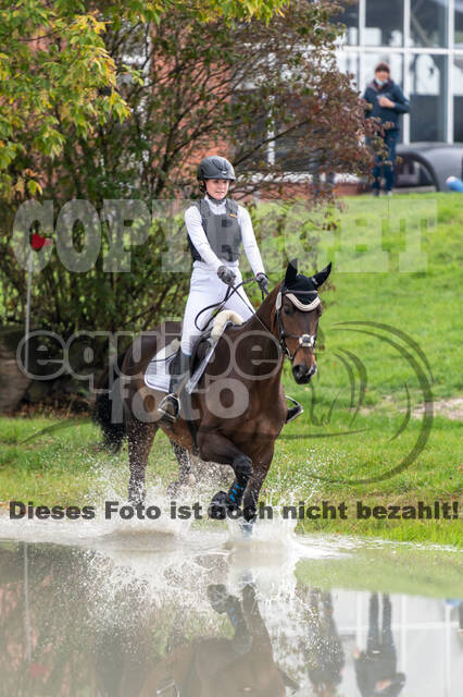 Goldene Schärpe 2020 - Pferde