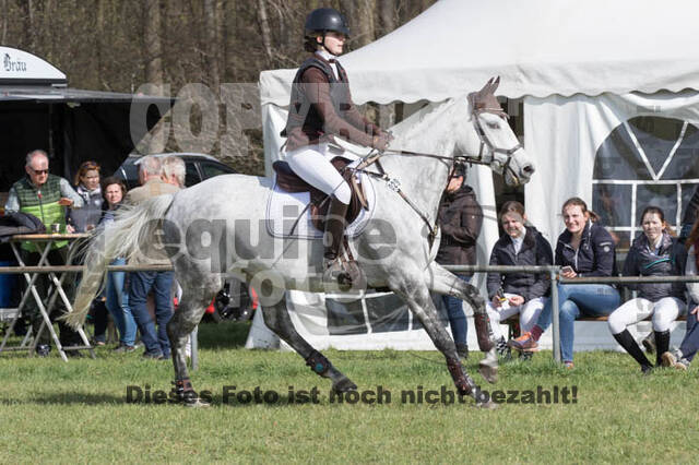 Frühjahrsvielseitigkeit RV Seydlitz Kamp