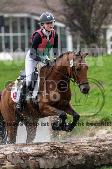 Goldene Schärpe 2020 - Pferde