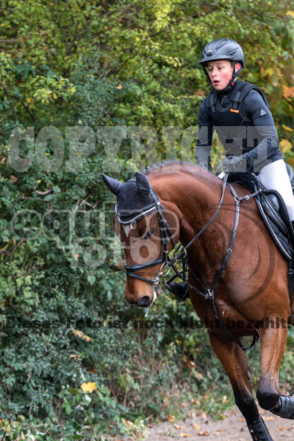 Goldene Schärpe 2020 - Pferde